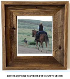 horseback riding near me in Forest Grove, Oregon